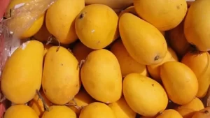 Hyderabad Police Issue Alert on Chemically Ripened Mangoes, Urge Public to Stay Vigilant