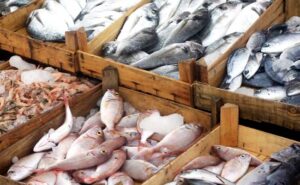 Andhra Pradesh ranks second in seafood production and Export in India: CM Chandra Babu