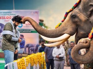 Wildlife conservation should become a public movement: Pawan Kalyan