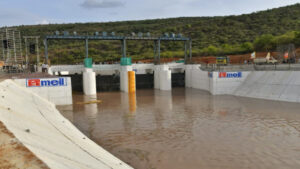 Veligonda feeder canal quenches the thirst of monkeys.. CM Chandrababu’s post in X